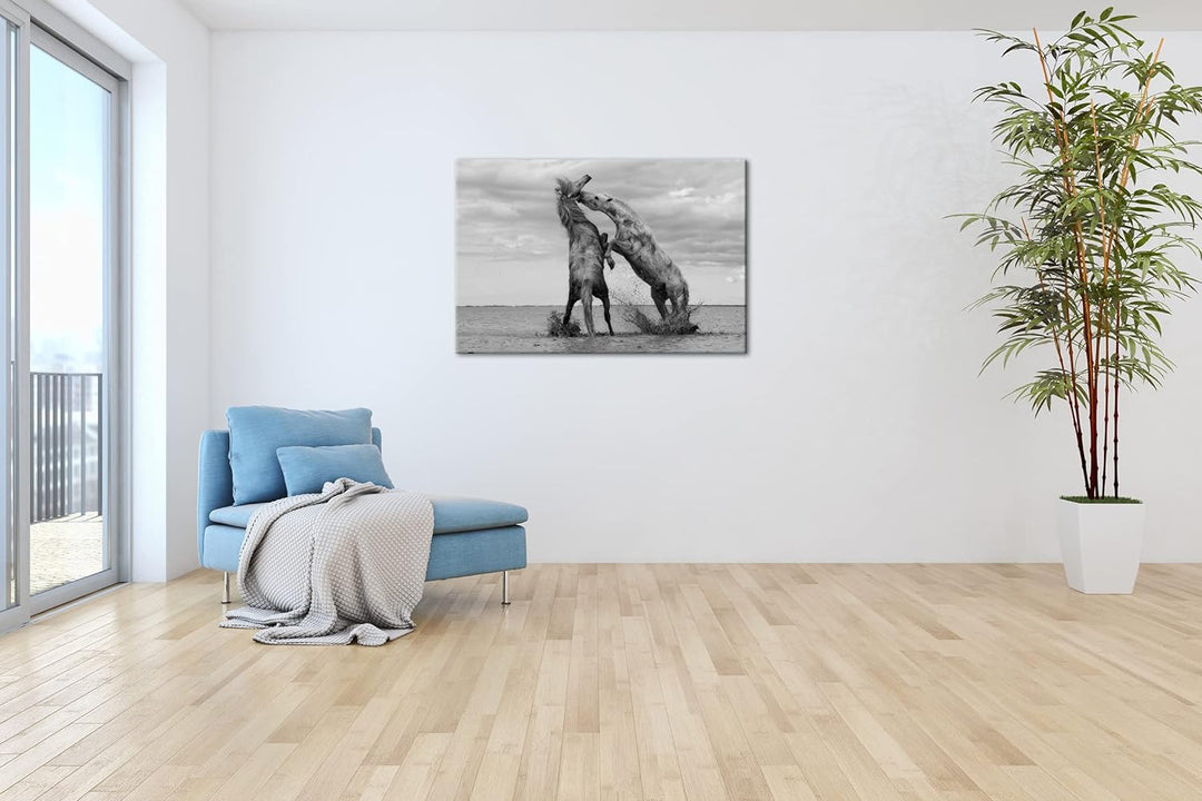 deyoli Schwarz Weiss kämpfende Pferde Format: 100x70 als Leinwandbild, Motiv fertig gerahmt auf Echt