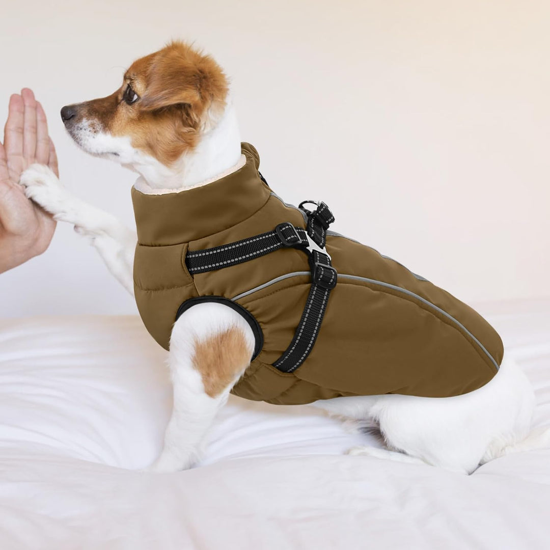 Hundemantel Hundejacke Warm Wintermantel mit Reissverschluss Winddichte &amp; Winddichte mit Reflektorst