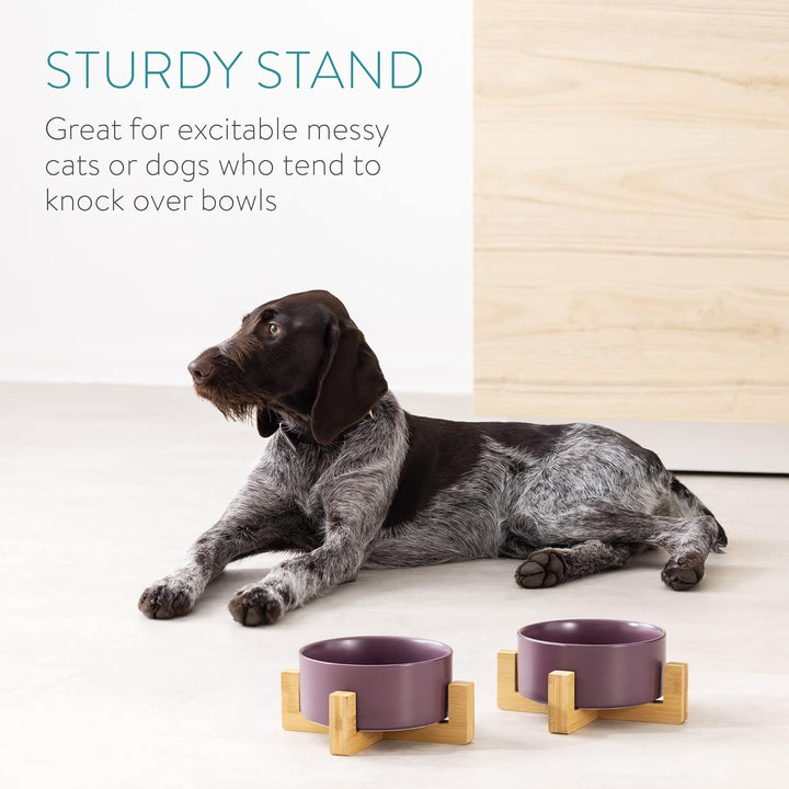 Navaris 2X Futternapf Katze mit Bambus Halter - Futterstation 2X Keramiknapf für Katzen Hunde - Kera