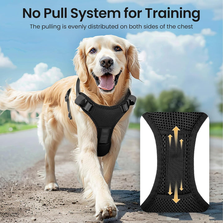 Light Up Dog Hundegeschirr Leuchtend LED Aufladbar - Leuchtgeschirr Leuchtend für Klein Mittelgrosse