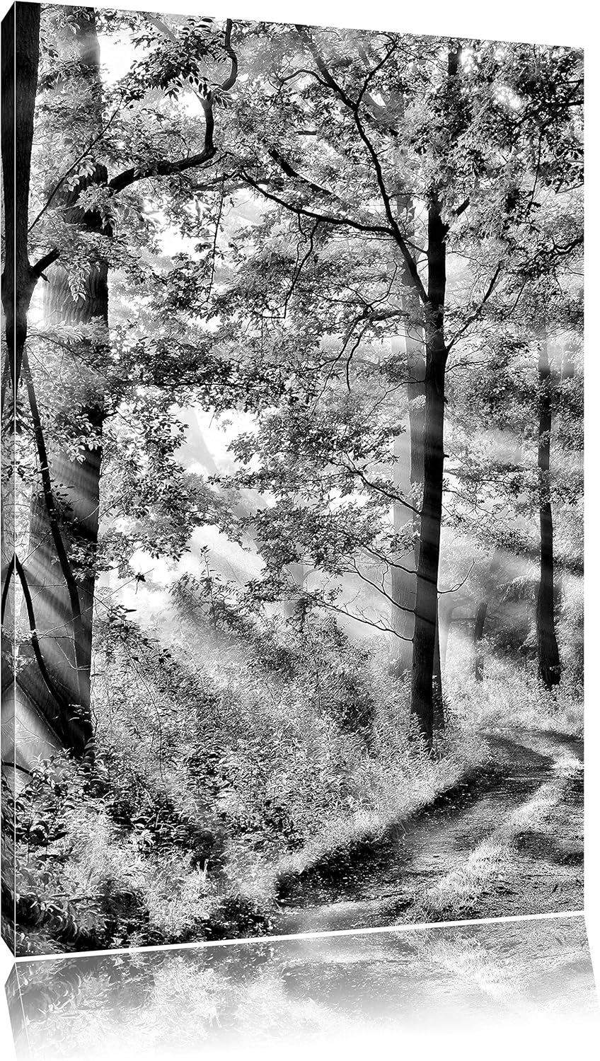 Pixxprint Waldweg / 100x70cm Leinwandbild bespannt auf Holzrahmen/Wandbild Kunstdruck Dekoration, 10