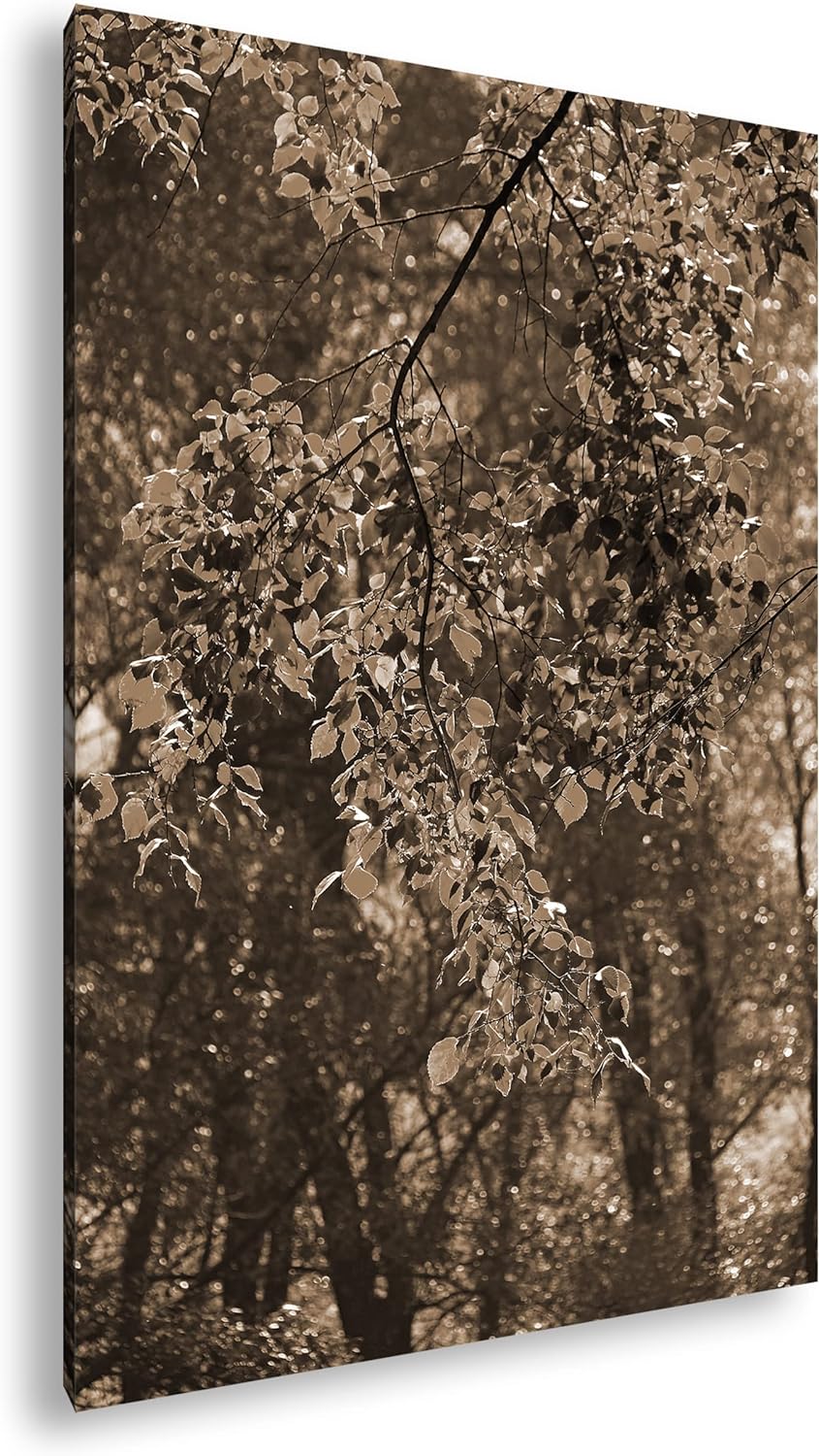 herbstliche Farben in der Natur Effekt: Sepia, Format: 80x60 als Leinwandbild, Motiv fertig gerahmt