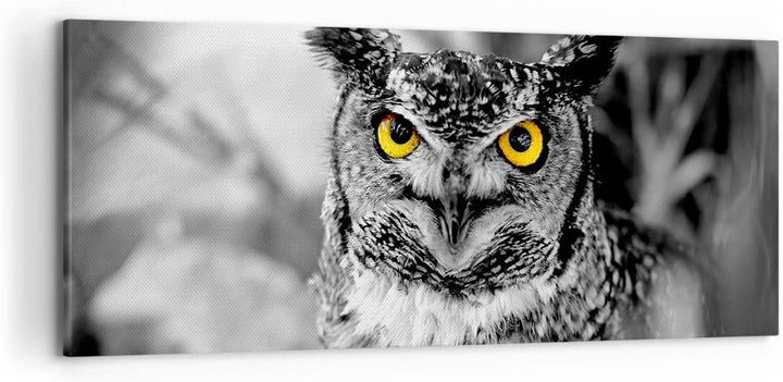 Wandbilder Dekoration Wohnzimmer Eule Vogel Natur Panorama Bilder auf Leinwand 120x50cm Leinwandbild