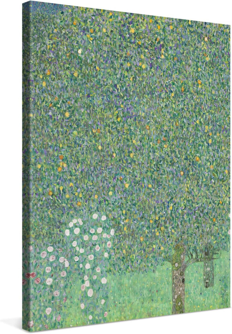 PICANOVA – Rosebushes Under The Trees 60x80cm – Premium Leinwanddruck – Kunstdruck Auf 2cm Holz-Keil