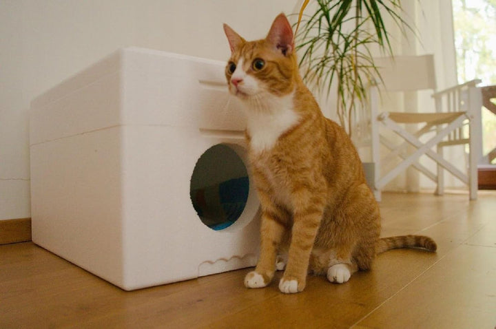QLS Wetterfestes Katzenhaus aus Styropor – 58x38 cm isoliertes Schutzhäuschen für draussen