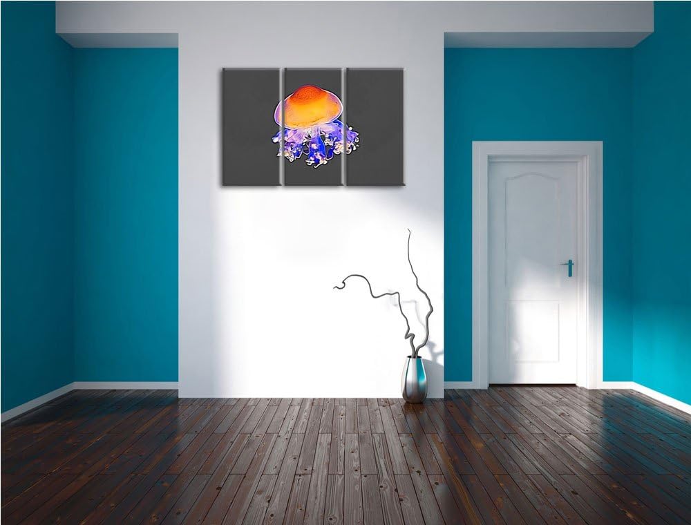 kleine zarte Qualle schwarz/weiss Deluxe 3-Teiler Leinwandbild 120x80 Bild auf Leinwand, XXL riesige