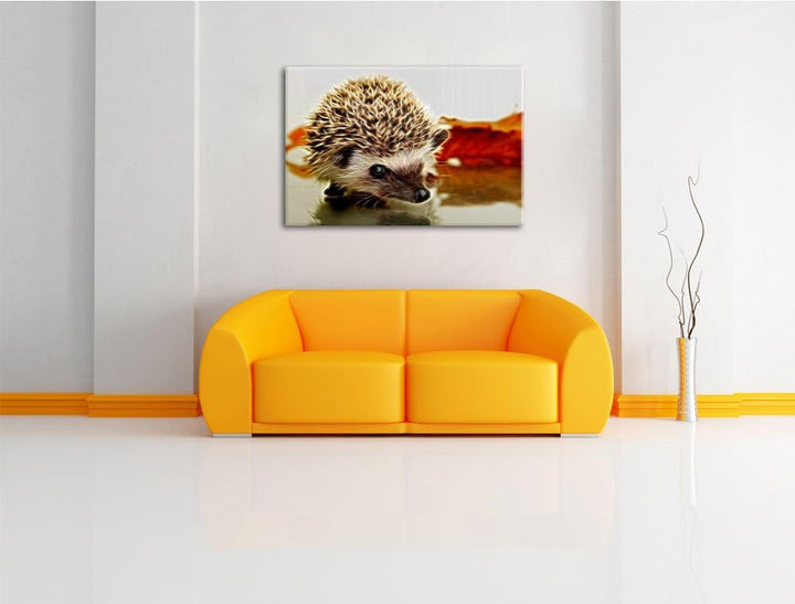Süsser Igel Deluxe Format: 100x70 cm auf Leinwand, XXL riesige Bilder fertig gerahmt mit Keilrahmen,