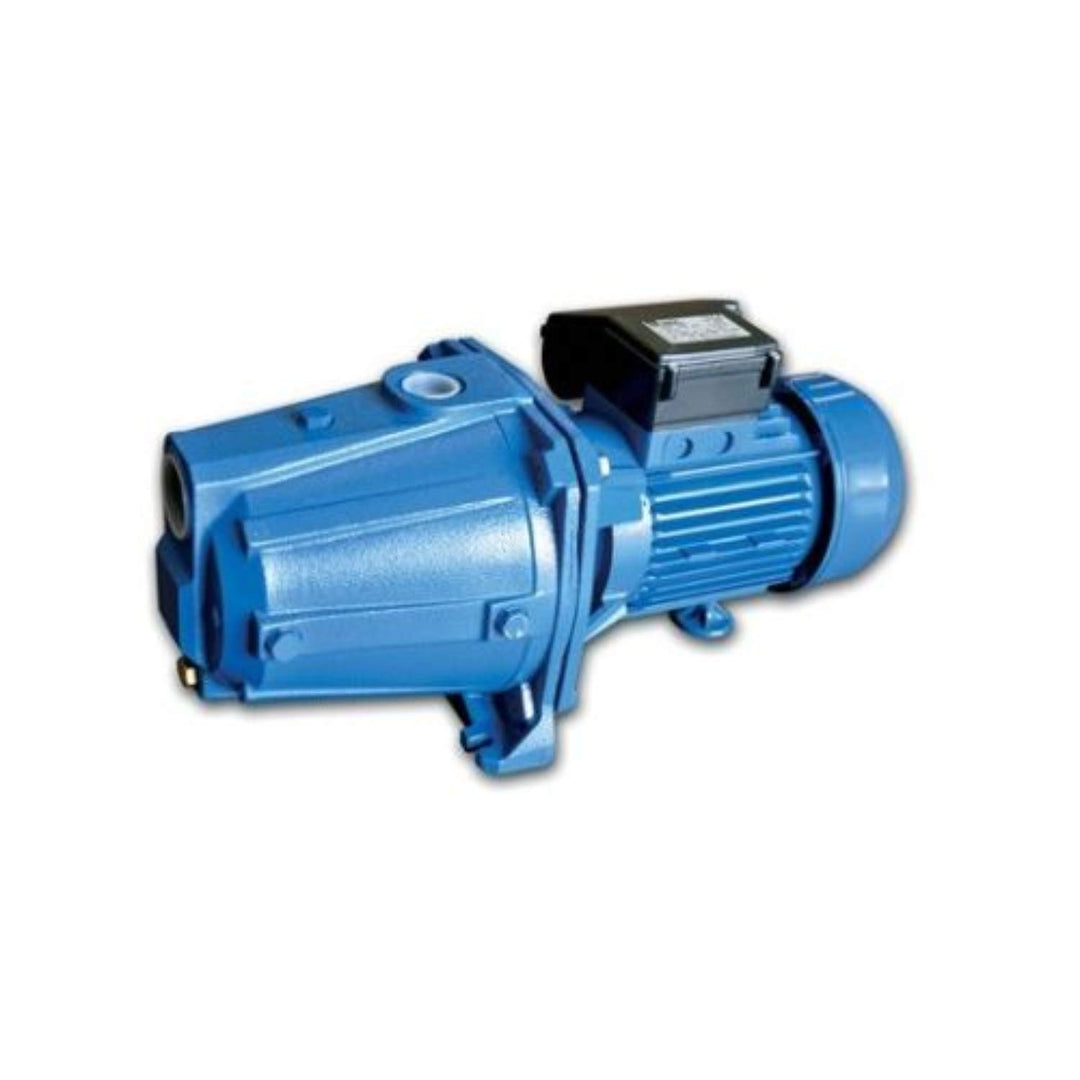 Selbstansaugende Elektropumpe Serie AGA/B 1,50 M für Versorgung und Druck, Hauswasser, Bewässerung,