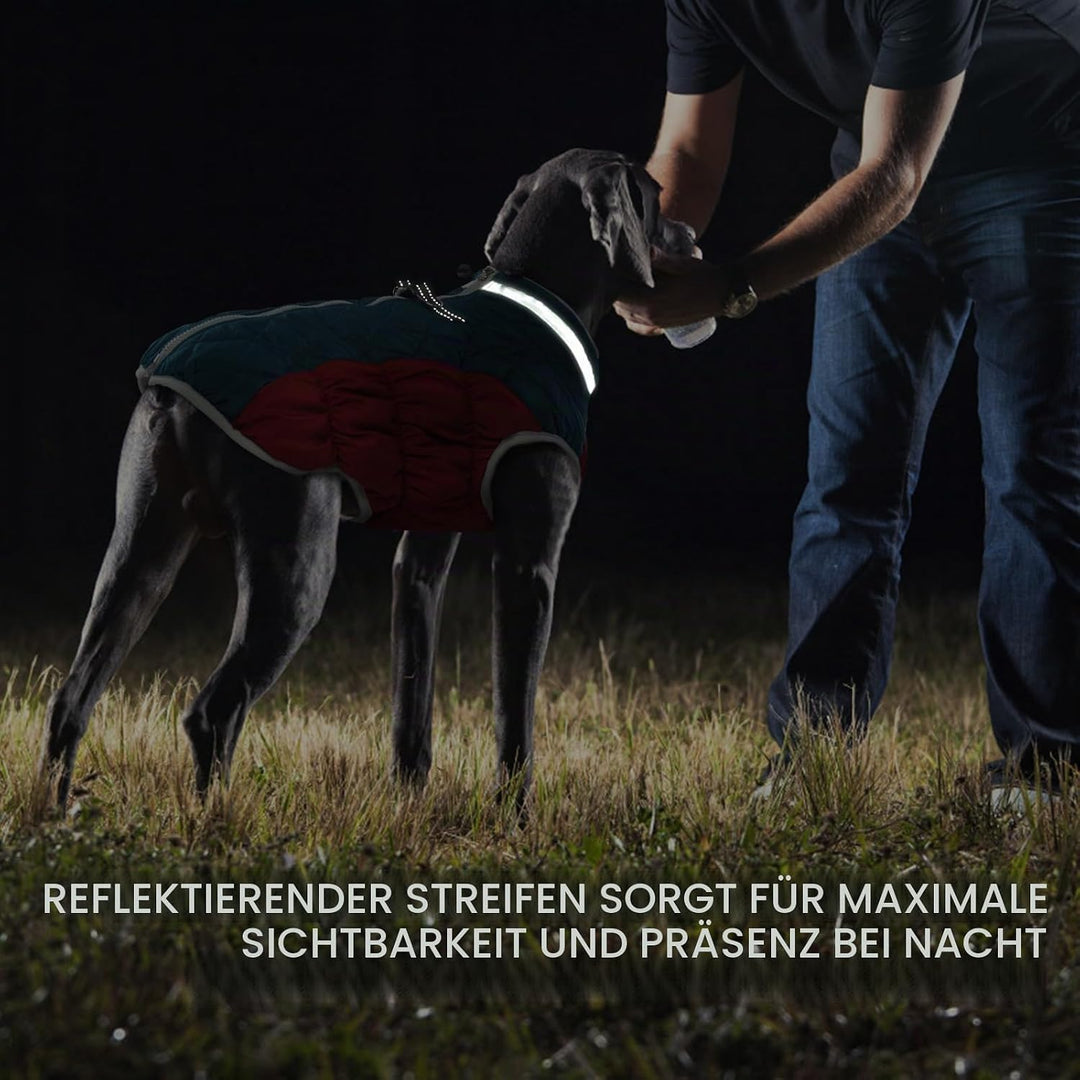 Kuoser Wärme hundemantel, Winddicht hundejacke, Reflektierend hundemantel für kleine Hunde, hundeman