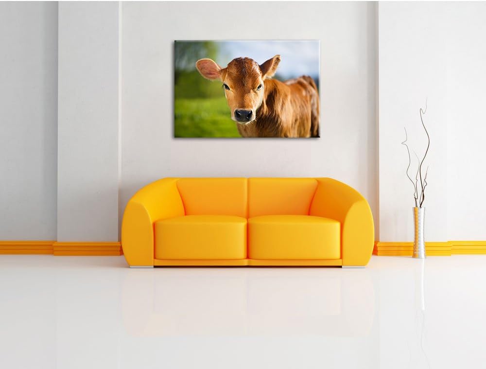 Junge Kuh Kälbchen, Format: 100x70 auf Leinwand, XXL riesige Bilder fertig gerahmt mit Keilrahmen, K