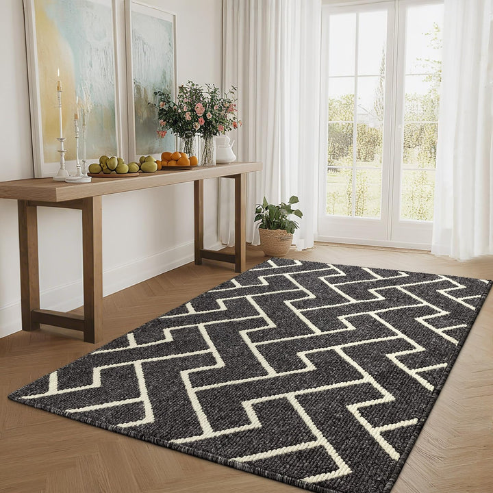 Biscpro Schmutzfangmatte 90 x 150, Rutschfestigkeit Fussmatte,Maschine gewaschen Türmatte für Hund,