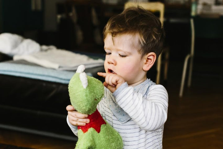 Efie Bio - Spieluhr Schlenker Frosch, kontrolliert biologischer Anbau (organic), Made in Germany, GO