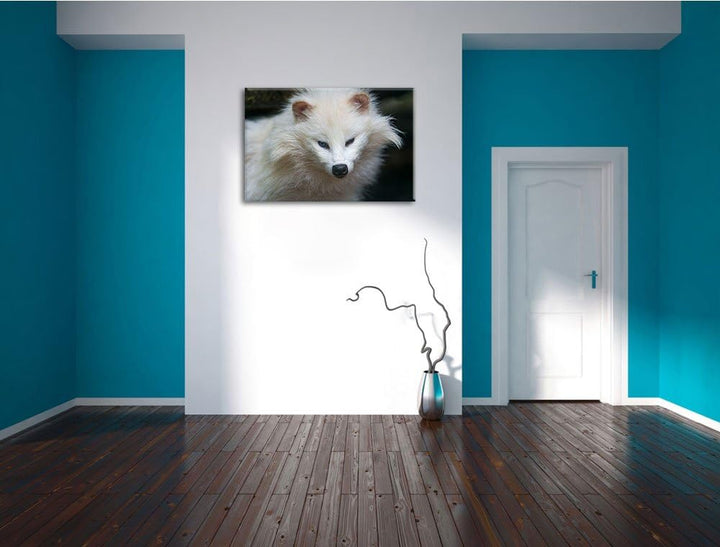 Pixxprint Kleiner Polarfuchs auf Leinwand, XXL riesige Bilder fertig gerahmt mit Keilrahmen, Kunstdr