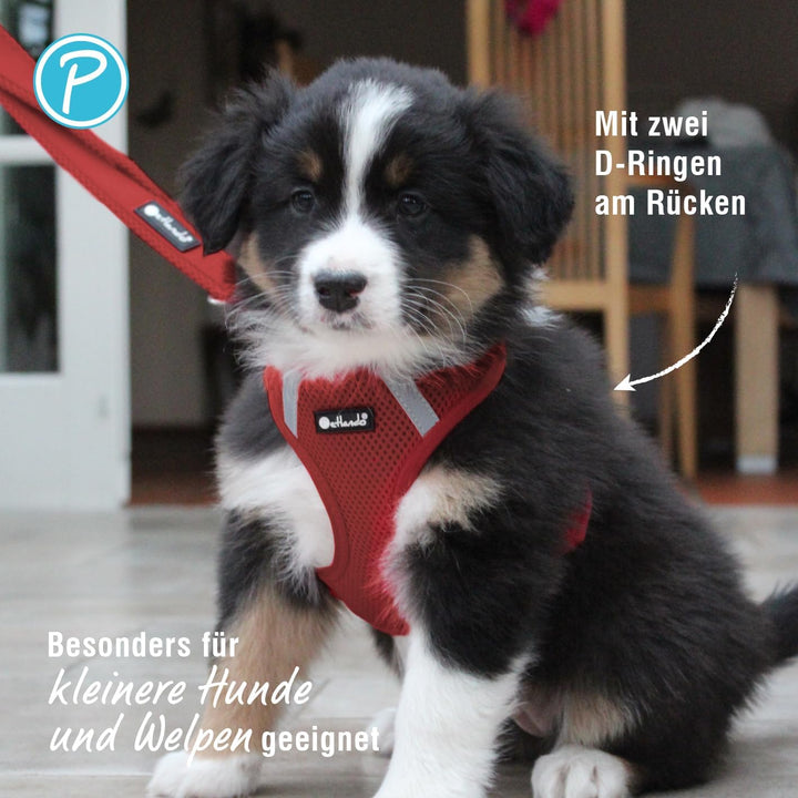 Petlando Hundegeschirr Mesh Vest, leichtes Brustgeschirr aus weichem Mesh & Nylon, stufenlos verstel