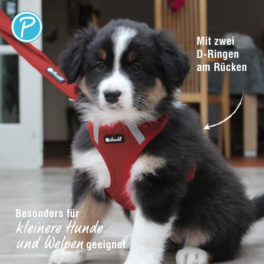 Petlando Hundegeschirr Mesh Vest, leichtes Brustgeschirr aus weichem Mesh & Nylon, stufenlos verstel