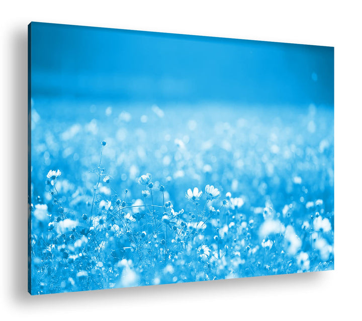 deyoli entzückende Blumenwiese Format 80x60 Effekt: Monocrome Blau als Leinwandbild, Motiv fertig ge