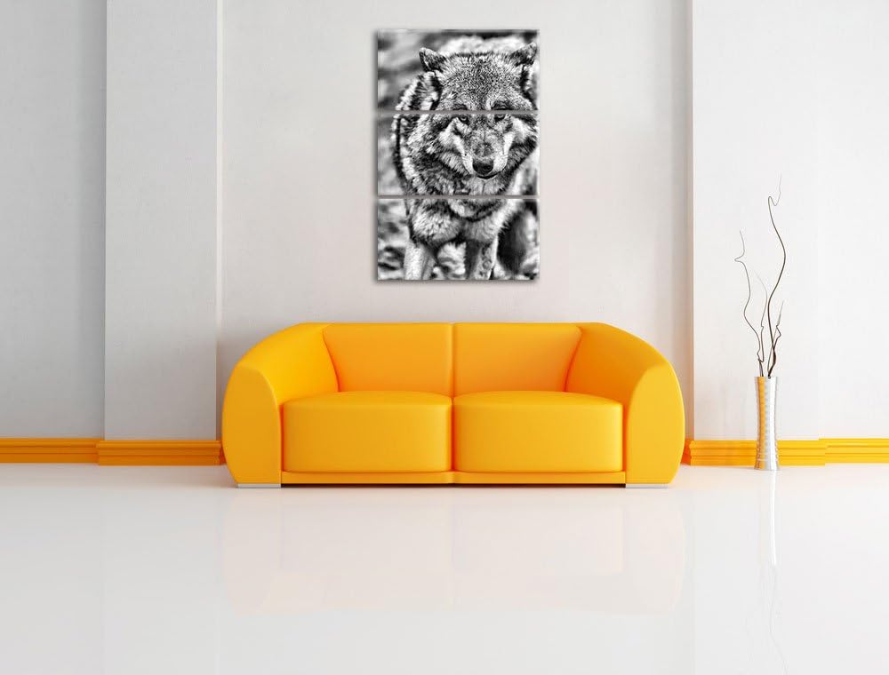 Pixxprint Monocrome, scheuer Wolf 3-Teiler Leinwandbild 120x80 Bild auf Leinwand