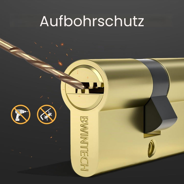 Bwintech 2 Stück 30/30mm Euro Messingzylinder, 60mm Schlüssel/Schlüsselzylinderschloss mit 10 horizo
