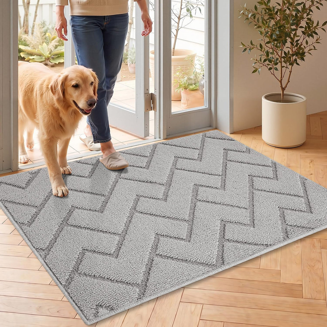 Biscpro Fussmatte Innen Aussen 60 x 90 cm Waschbar eingangsteppich innen Schmutzfangmatte rutschfest