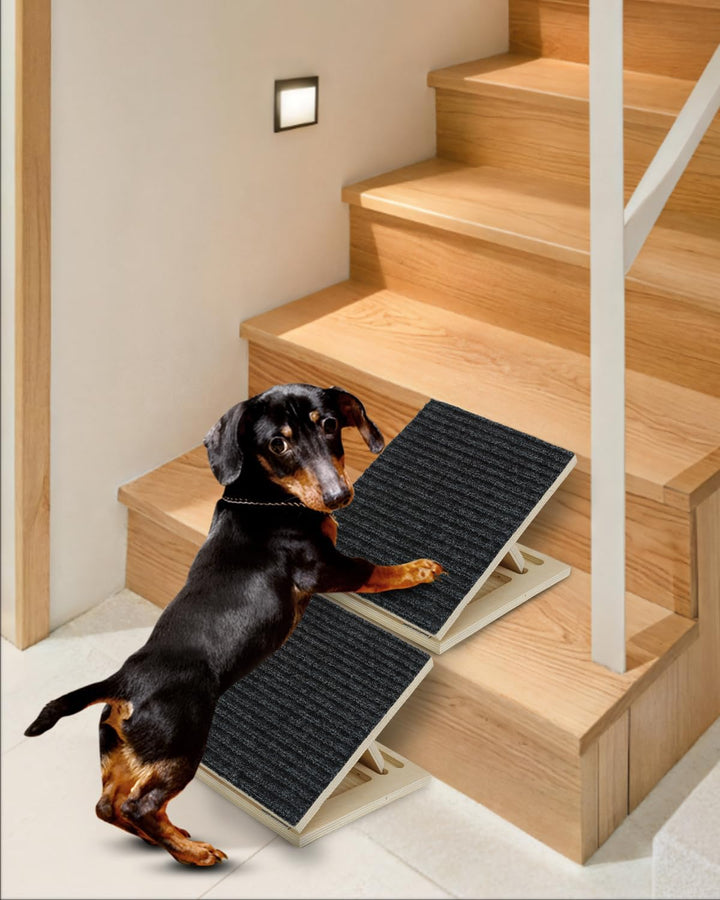 Klappbare treppen für Hunde, Rampe Hund treppe,rutschfeste, 2 Pack für kleine oder mittlere Hunde un