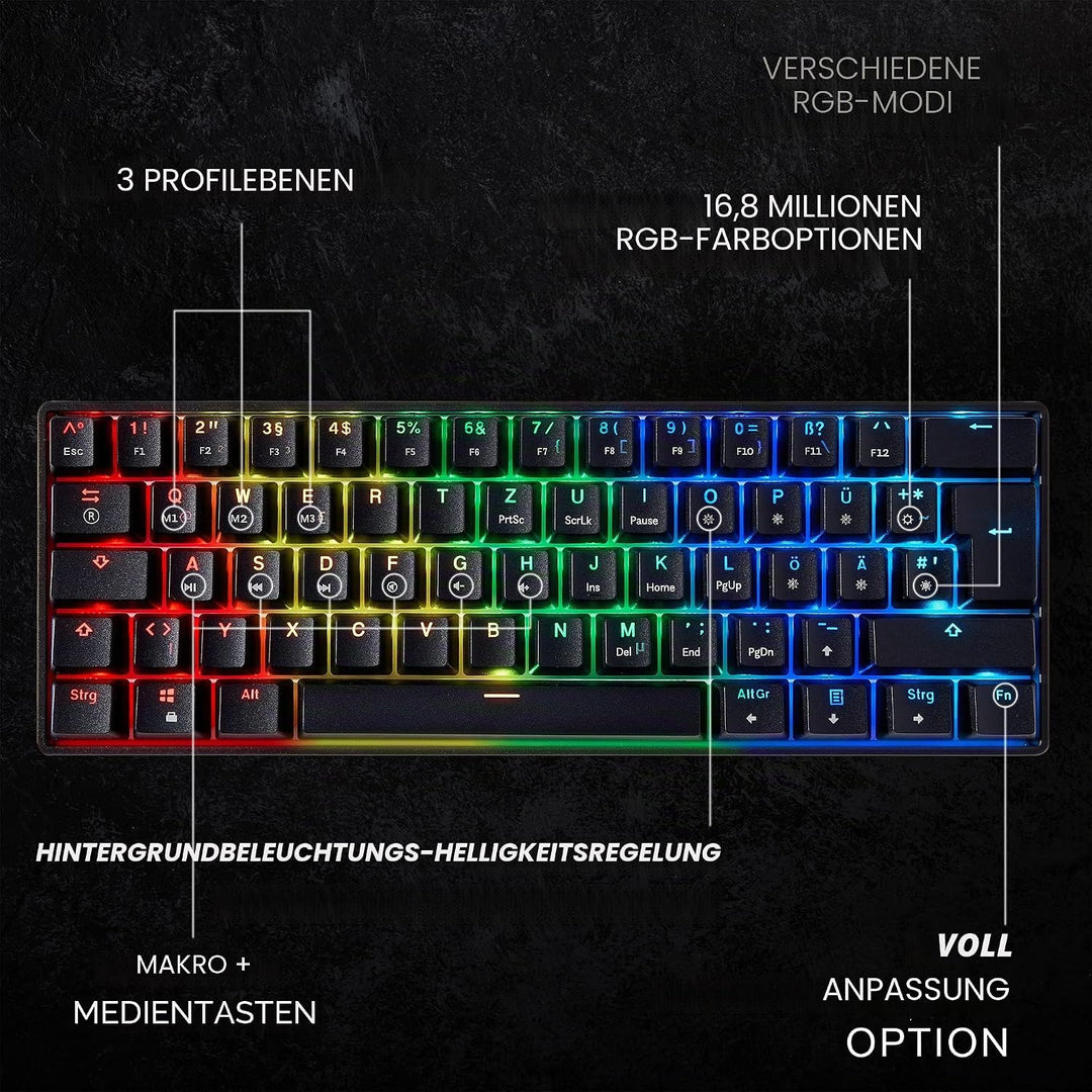 HK Gaming GK61 mechanische 60 Prozent Tastatur | 61 programmierbare Tasten mit RGB Beleuchtung | Kom
