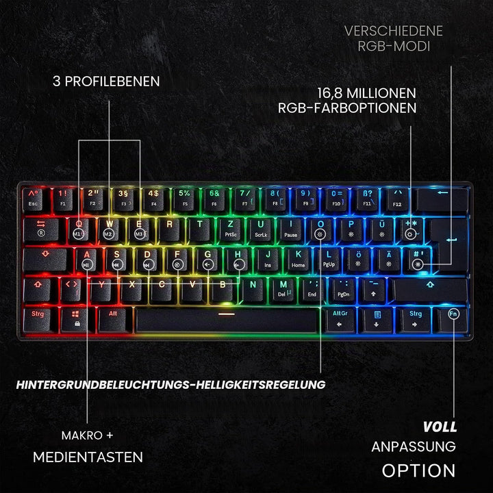 HK Gaming GK61 mechanische 60 Prozent Tastatur | 61 programmierbare Tasten mit RGB Beleuchtung | Kom