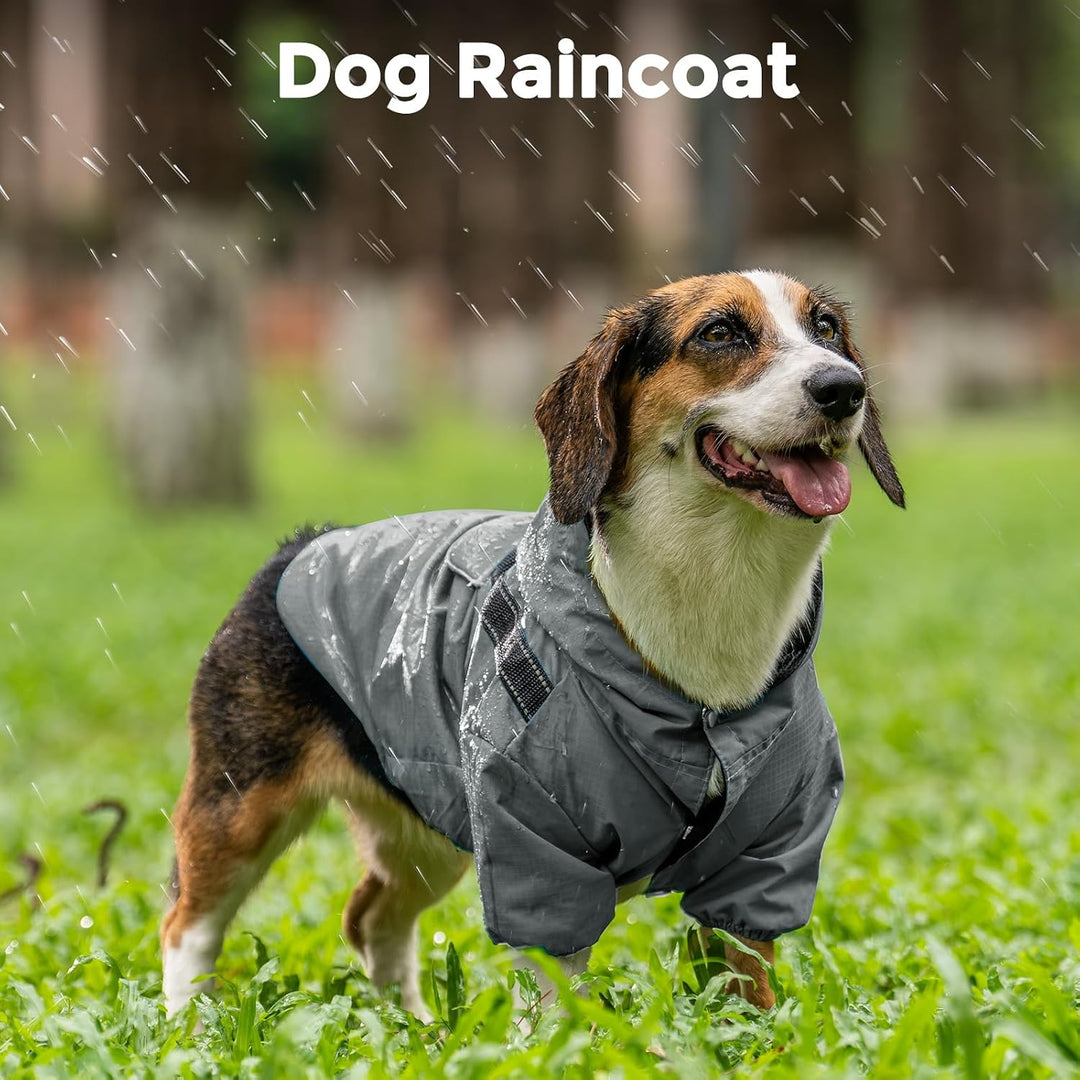 JoyDaog Premium-Regenmantel Mit Kapuze für Mittelgrosse Hunde, Outdoor-Sport, Wasserdichte Regenjack