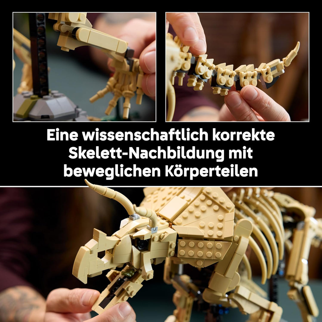 LEGO Jurassic World Dinosaurier-Fossilien: Triceratops - Modellbau für Erwachsene mit der Minifigur
