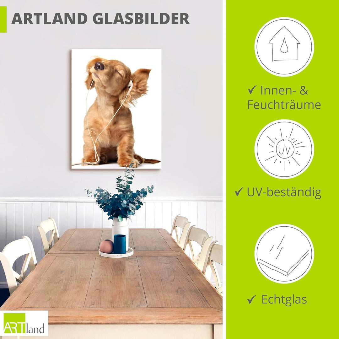ARTland Glasbilder Wandbild Glas Bild einteilig 30x60 cm Hochformat Hund Tiere Musik Dackel Welpen L