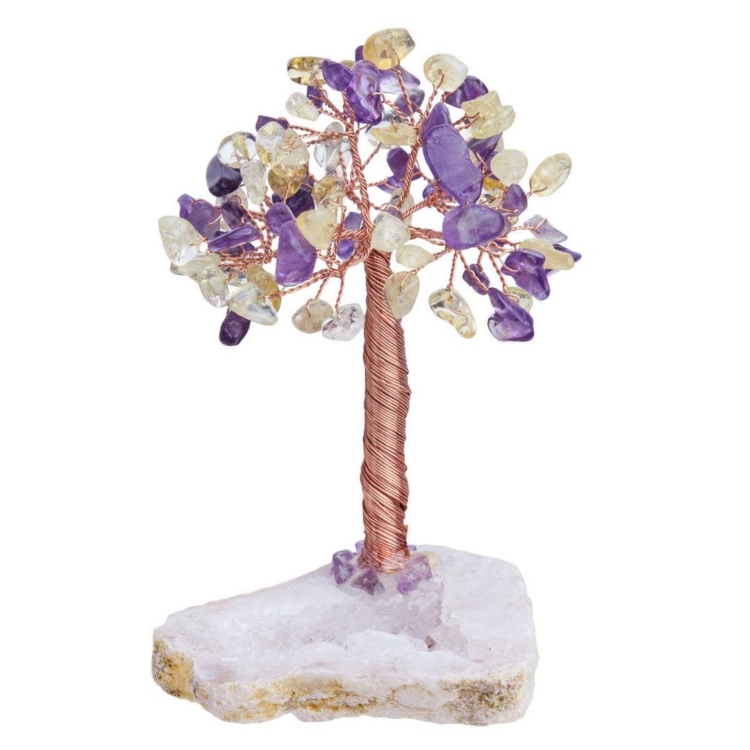 mookaitedecor Amethyst &amp; Citrin Natural Crystal Money Tree mit Druzy Geode Quarzsockel, Kupferdraht