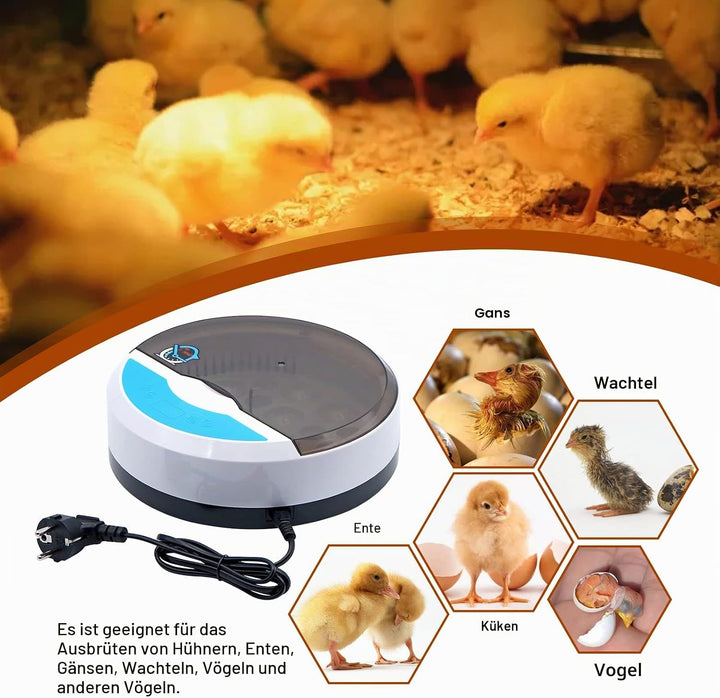 BREUAILY Mini 9 Eier Inkubator Digitaler Geflügel Hatcher mit Automatischer Temperaturregelung Brutm