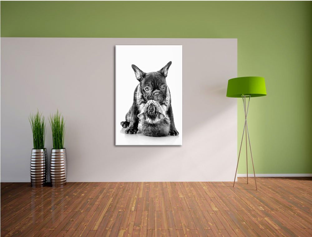 Pixxprint Monocrome, Katze und Mobs Freunde fürs Leben, Format: 100x70 auf Leinwand, 100x70
