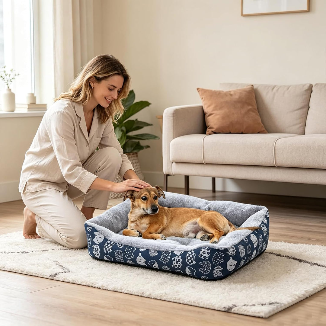 PETCUTE Haustierbett Hundesofa,Waschmaschinenfest Orthopädisches Hundebett für Kleine Hunde,Rutschfe