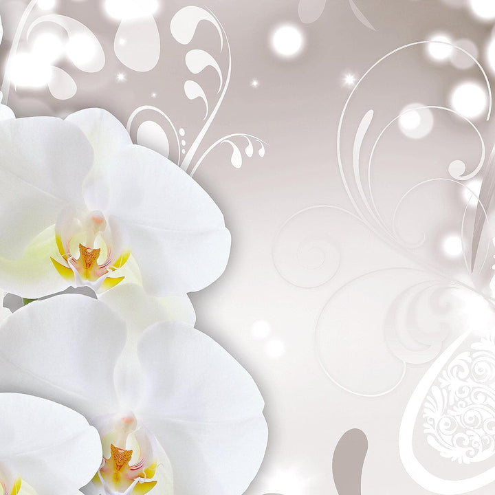 Runa Art Wandbilder Blumen Orchidee 5 Teilig Bild auf Vlies Leinwand Deko Wohnzimmer Abstrakt Grau B
