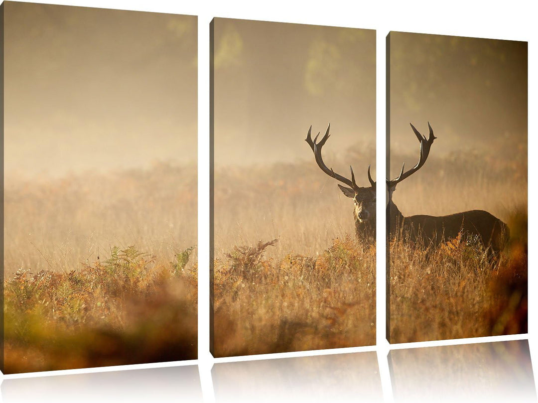 Pixxprint Rotwild Hirsch im Nebel als Leinwandbild | Grösse: 3 Teilig (120x80) | Wandbild| Kunstdruc