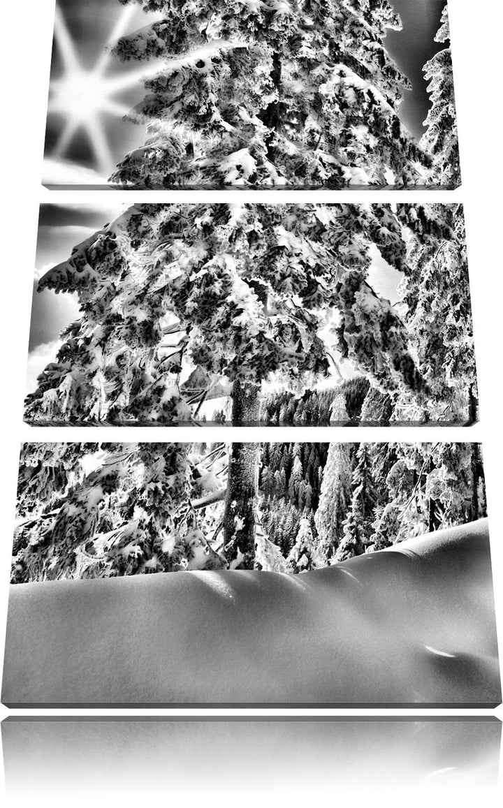 Pixxprint Monocrome, Winterlandschaft Bäume 3-Teiler Leinwandbild 120x80 Bild auf Leinwand