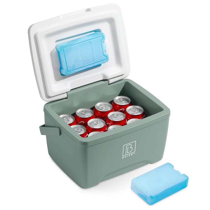 Brisby Kühlbox 8 Liter - 18 Stunden warm - 40 Stunden kühl - Inklusive 2 grosse Kühlelemente 450 ML