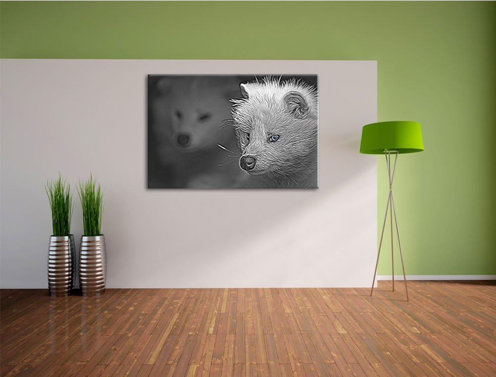 hübscher Polarfuchs in Höhle schwarz/weiss Deluxe Format: 100x70 cm auf Leinwand, XXL riesige Bilder