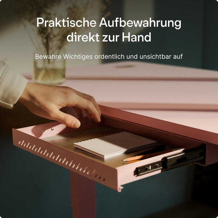 Desktronic Schreibtisch-Organizer, Untertisch-Aufbewahrungsbox, Schreibtisch für Büro Schule Homeoff