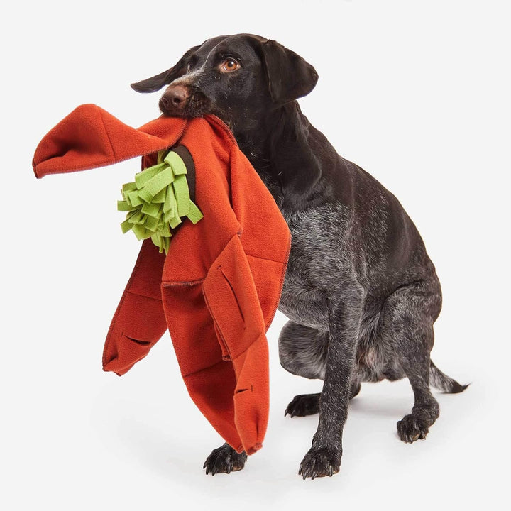 KNAUDERS Best Sniffstar - Von einfach bis knifflig - von Knauder's Best
