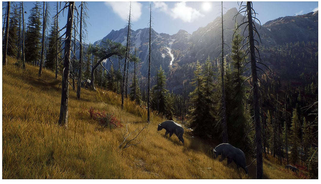 Way of The Hunter