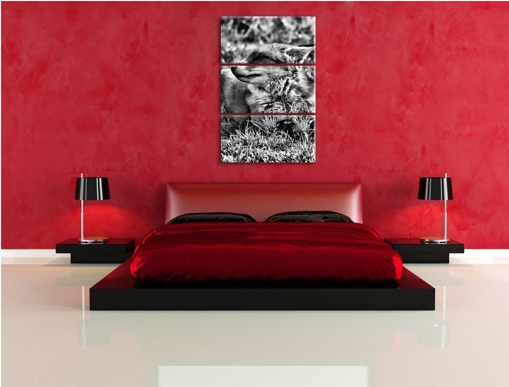 Pixxprint Fuchs im Gras als Leinwandbild/Grösse: 3 Teilig (120x80) / Wandbild/Kunstdruck/fertig besp