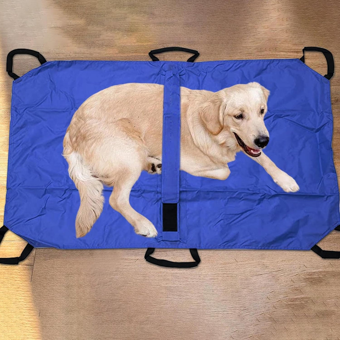 Hundetrage | Kleintiertransporttrage - Klappbare Tierliege Mit Sicherheitsgurtsystem Für Welpen Kani