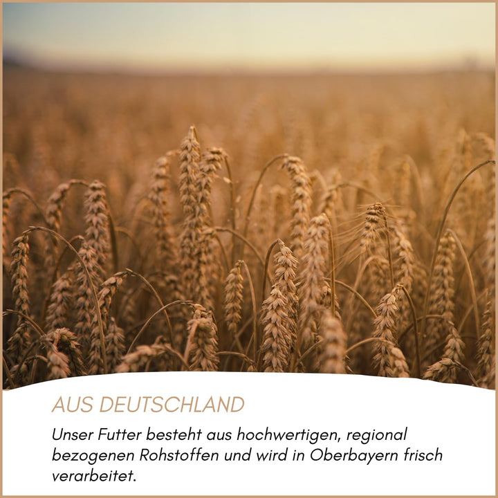 SUPRAVIT Taubenfutter 25kg Basis | nahrhaftes Allroundfutter für Tauben | Klassische Futter Körnermi