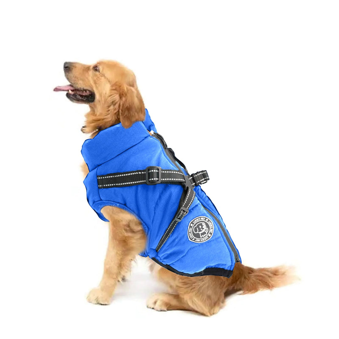 Hundemantel für Kleine Hunde Wasserdicht,Hundemantel mit Geschirr, Winterjacken &amp; Wintermäntel für H