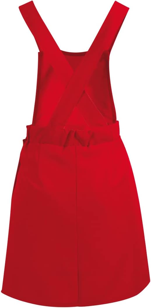 KarnevalsTeufel Latzrock Damenkostüm blau rot grün Klempnerkostüm Mauskostüm Zwergenkostüm Verkleidu