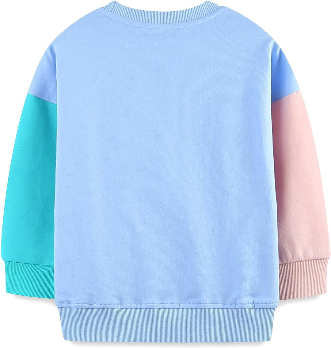 Mädchen Pullover für Kinder Langarmshirt Baumwolle Sweatshirt Winter Kleidung Langarm Tops 1-7 Jahre