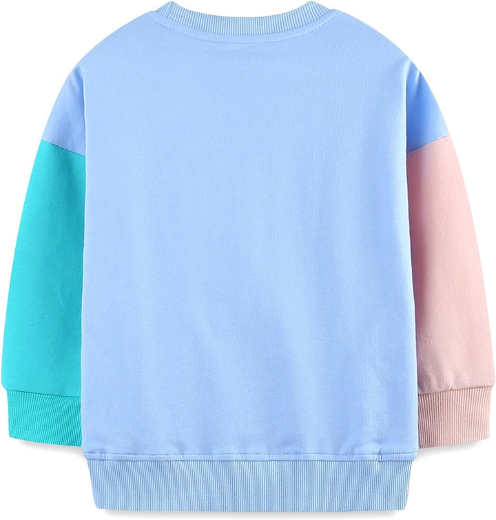 Mädchen Pullover für Kinder Langarmshirt Baumwolle Sweatshirt Winter Kleidung Langarm Tops 1-7 Jahre