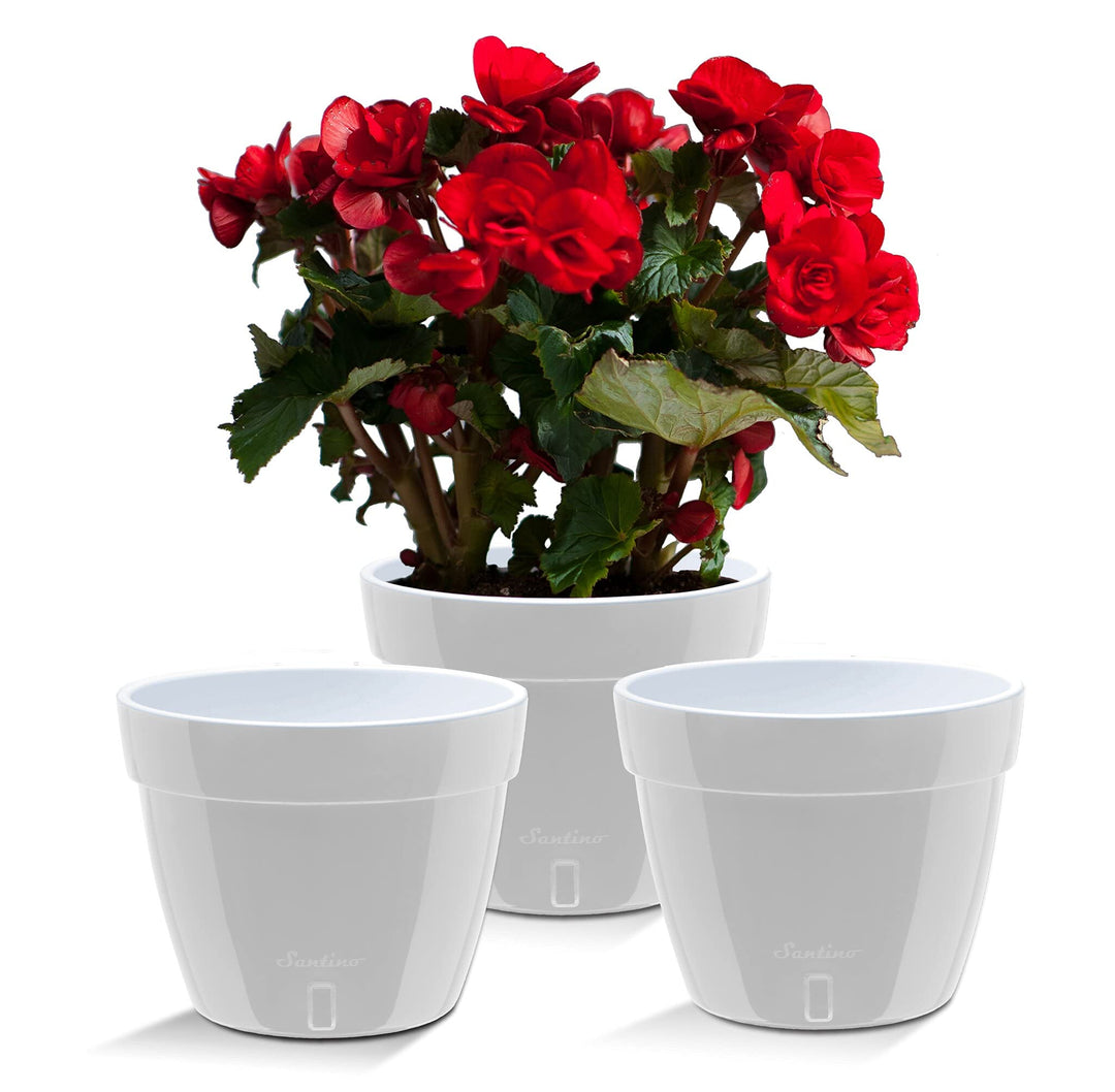 Santino ASTI 3er Set 20CM Selbstwässernder Blumentopf mit Wasserstandsanzeiger - Rund Premium Qualit