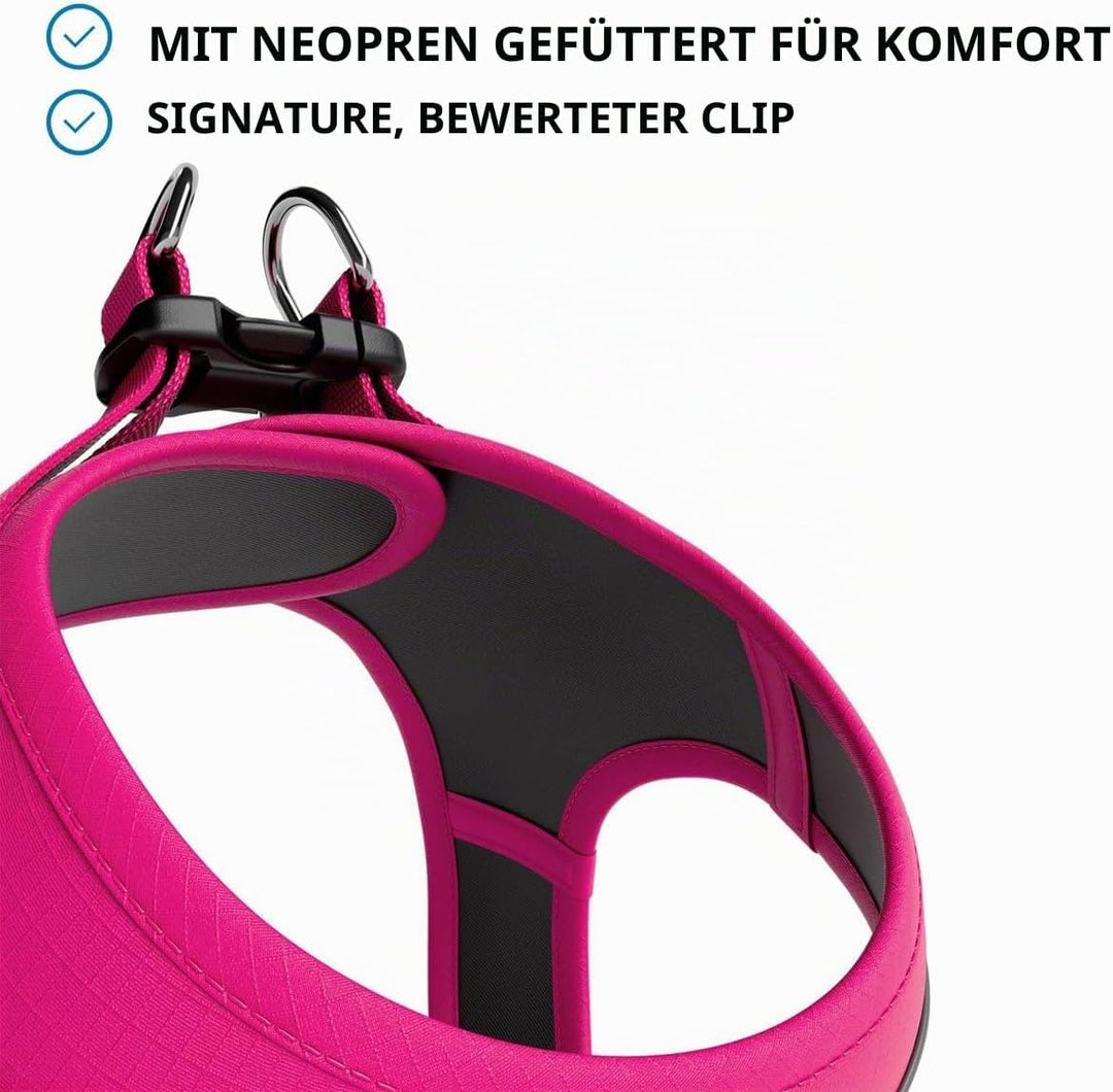 BullyBillows Step-In Hundegeschirr mit Griff | Geschirr für kleine Hunde/Welpen mit Polsterung &amp; sta